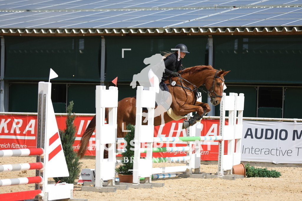0P6A0169 | Willkommen bei Brunnmayr - Design & Fotografie – Ihrem Spezialisten für Reitturniere und Pferdeveranstaltungen in Oberösterreich, Salzburg und Bayern! Seit über 17 Jahren sind wir leidenschaftlich dabei.