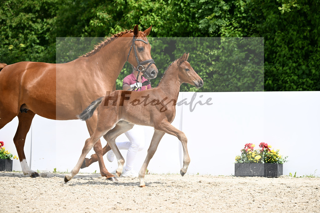 Venturo x Fuerst Jazz_HF_Hallerbach_13250813 | hf-fotografie - Realizzato con Pictrs.com