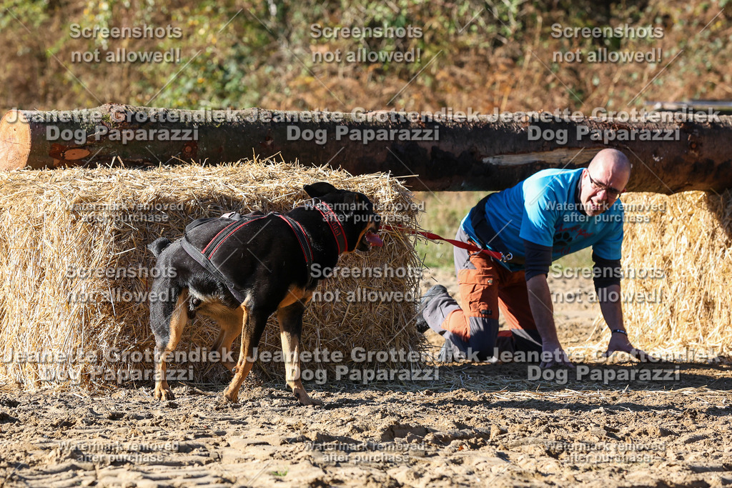 Dog Paparazzi - Strongdog 10-25-2305 | Dog Paparazzi Jeanette Grottendiek Fotografie & Videografie - Realisiert mit Pictrs.com