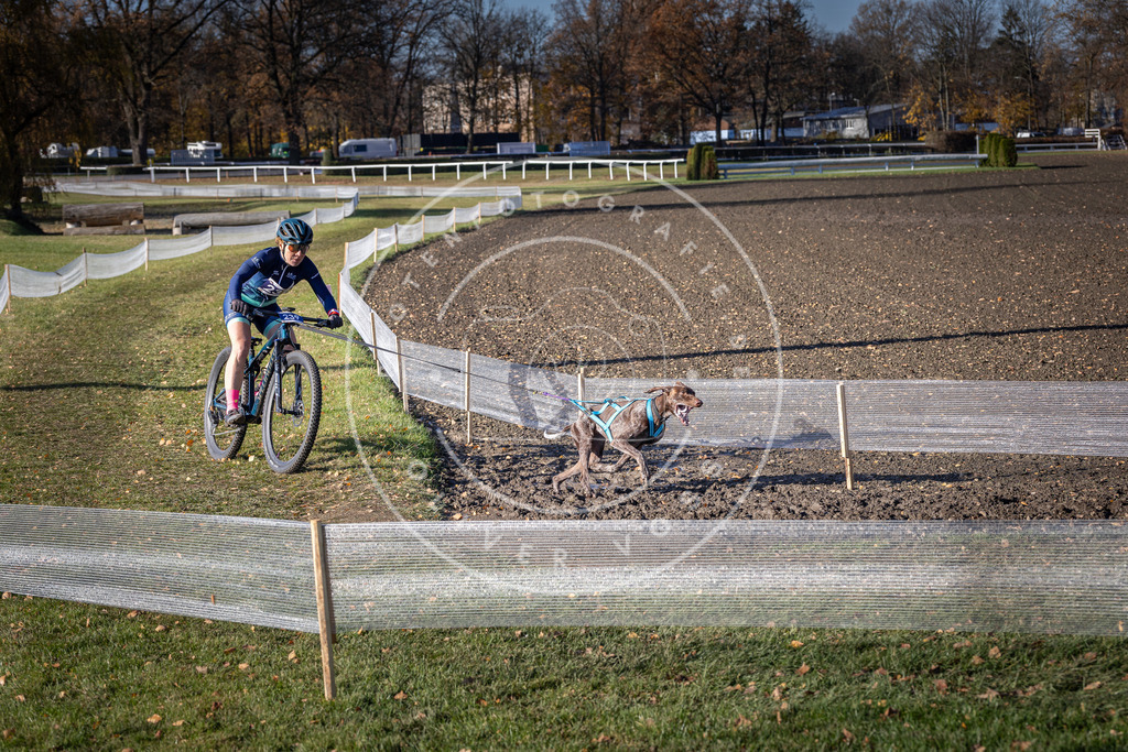 CaniXpix_DV3A4180 | Hundefotografie, Tierfotograf, Pfotenfotografie, Fotoshooting Hund, Hunde Portrait, Hundesport, Hundeportraits, Heideshooting, Hunde, Sportfotograf, Hundefotograf, Turnierhundsport, THS,  - Realisiert mit Pictrs.com
