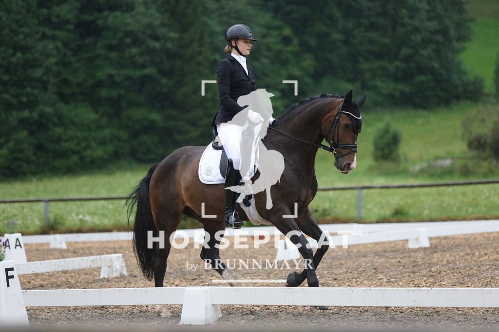 0P6A8481 | Willkommen bei Brunnmayr - Design & Fotografie – Ihrem Spezialisten für Reitturniere und Pferdeveranstaltungen in Oberösterreich, Salzburg und Bayern! Seit über 17 Jahren sind wir leidenschaftlich dabei.