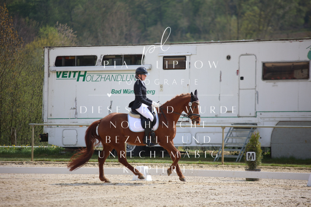 IMGT2464 | pl-fotografie