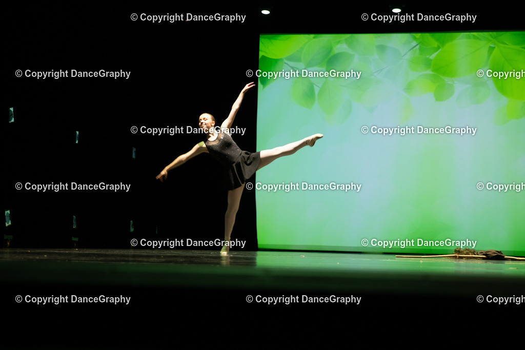 GPHY5761 | DanceGraphy - Realisiert mit Pictrs.com