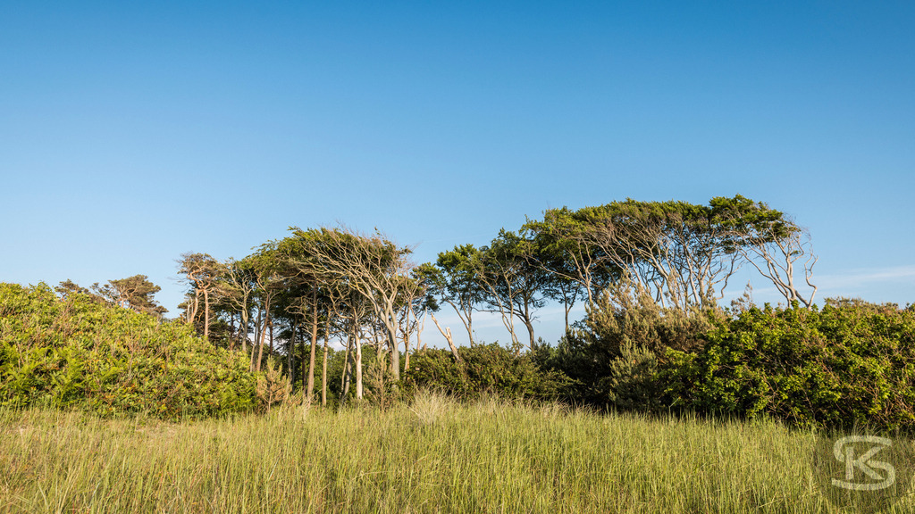 Weststrand Fischland-Darß-Zingst – Naturstrand mit Dünen und Ostsee | Der Weststrand auf Fischland-Darß-Zingst beeindruckt mit wilder Natur, Dünenlandschaften und weitem Blick über die Ostsee. Ein ursprünglicher Küstenabschnitt im Nationalpark Vorpommersche Boddenlandschaft. - Realisiert mit Pictrs.com