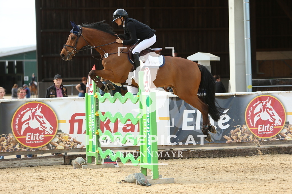 DL2Q6426 | Willkommen bei Brunnmayr - Design & Fotografie – Ihrem Spezialisten für Reitturniere und Pferdeveranstaltungen in Oberösterreich, Salzburg und Bayern! Seit über 17 Jahren sind wir leidenschaftlich dabei.