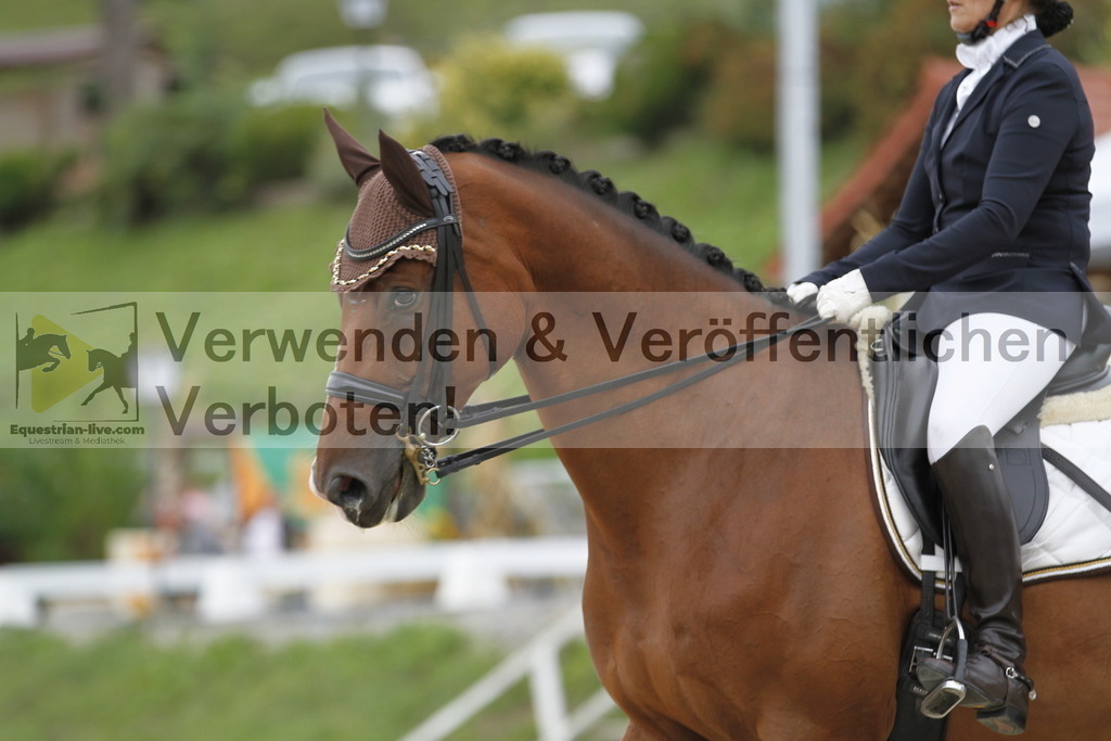 _MG_5177 | equestrian-live-com