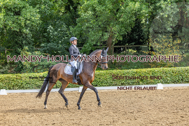 16.8.25 D1 DRE M-137 | mandyhollmannphotographie