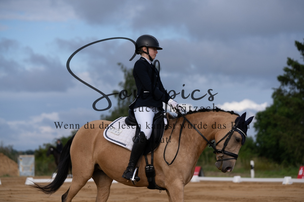 A7V05096 | Pferdefotograf