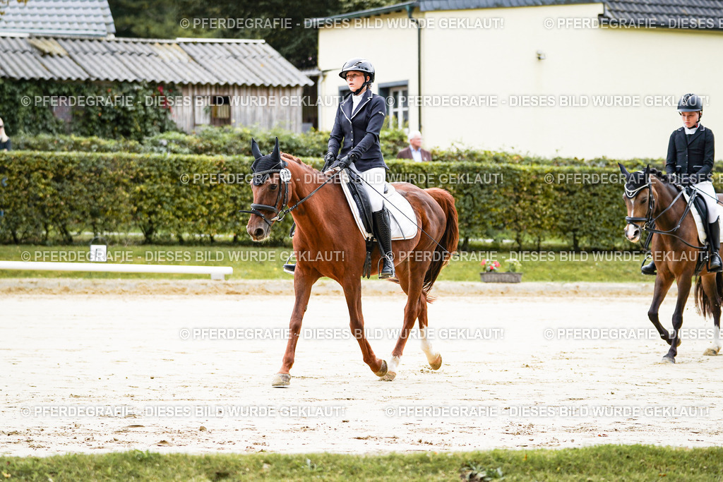 DSC04410 | Pferdegrafie