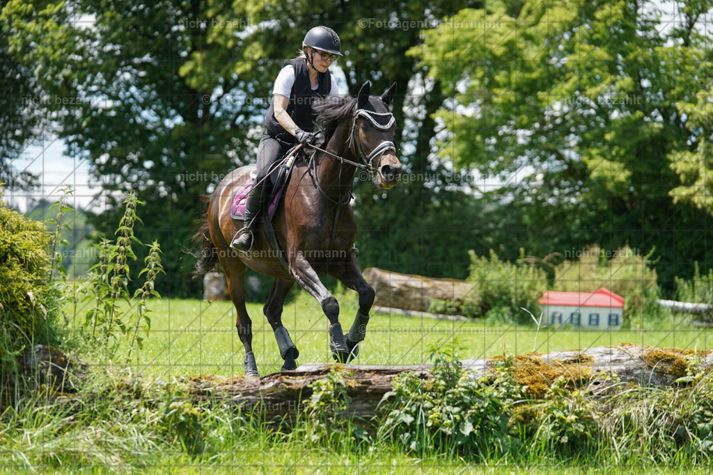 20240622-FAH07316 | Turnierfotografen Bayern, Reitsportbilder aus dem Geländekurs mit Felix Etzel auf dem Gut Waitzacker 2024