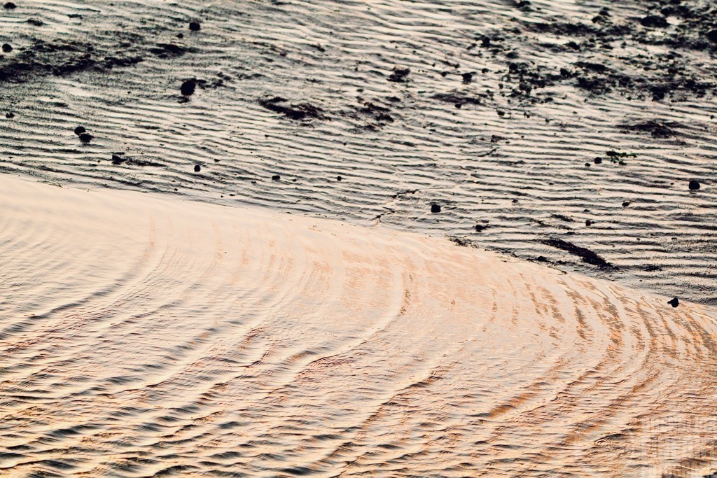 _M_D8725 | Björn Thiemann; Ogenblick.de; Fotografie; Photograph; Landscape, Pellworm, Schleswig-Holstein; Inselfotograf; Inselfotografien; Wattenmeer; National-Park; Naturschutzgebiet; Leuchtturm; Lighthouse; Leinwandbilder; Kalender; Pellworm Kalender;  - Realisiert mit Pictrs.com