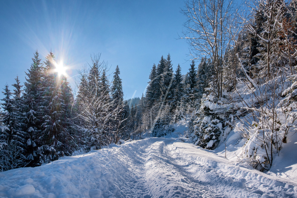 DSC05587 | Professioneller Fotograf - Bildbestellung online - Wandbilder vom Profi für ihr Zuhause, Büro, Praxis, Firma - große Auswahl an Materialien und Formaten, über 1400 regionale Motive