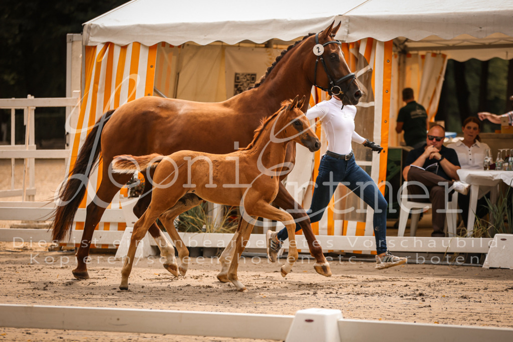 SaPA00046 | Leoni Ertmer Photography - Realisiert mit Pictrs.com