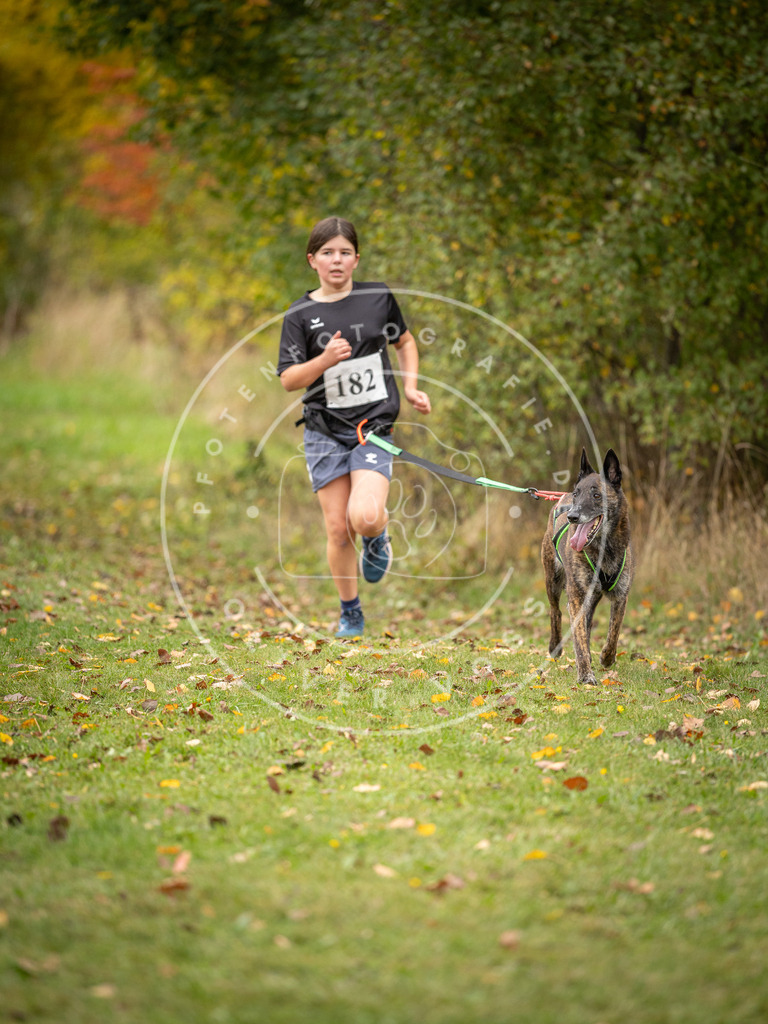 Pfotenfotografie_DV3A3712 | Hundefotografie, Tierfotograf, Pfotenfotografie, Fotoshooting Hund, Hunde Portrait, Hundesport, Hundeportraits, Heideshooting, Hunde, Sportfotograf, Hundefotograf, Turnierhundsport, THS,  - Realisiert mit Pictrs.com