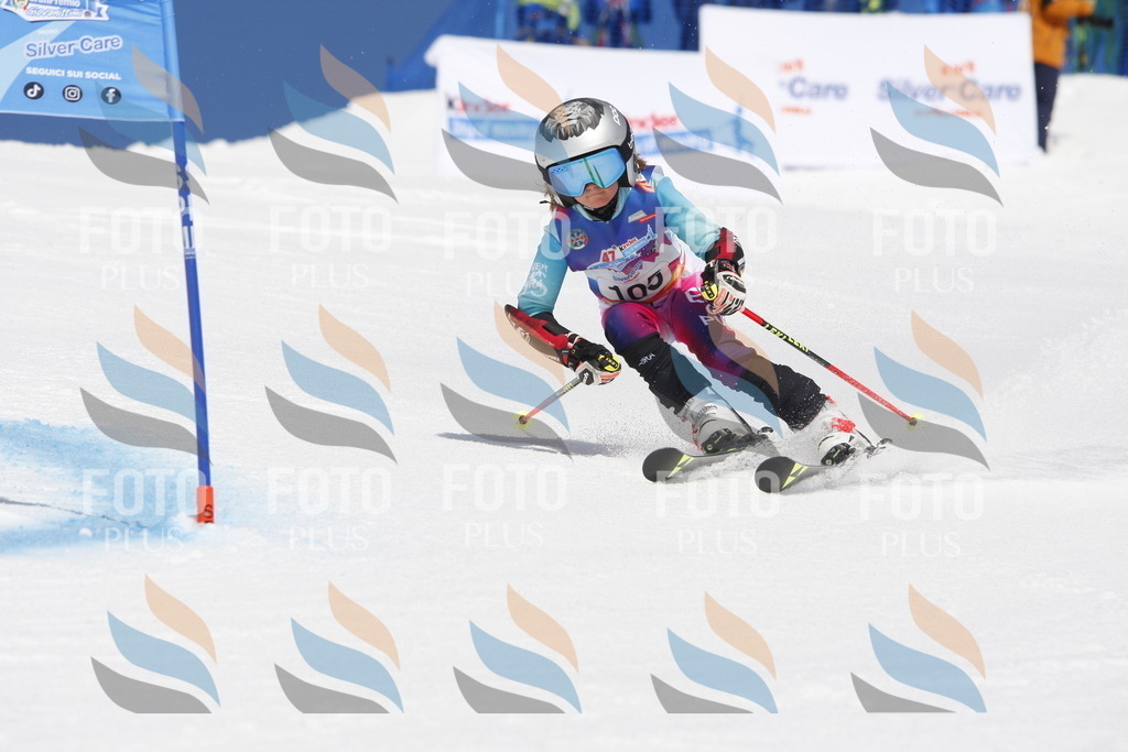 _W1G1580 | holidayphoto