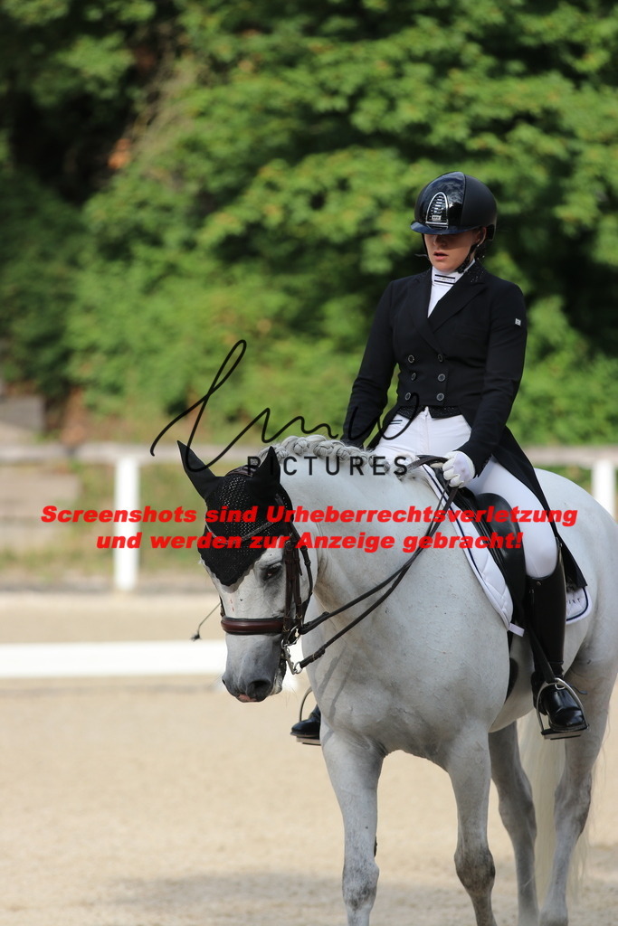 IMG_6218 | lmwpictures - Realisiert mit Pictrs.com