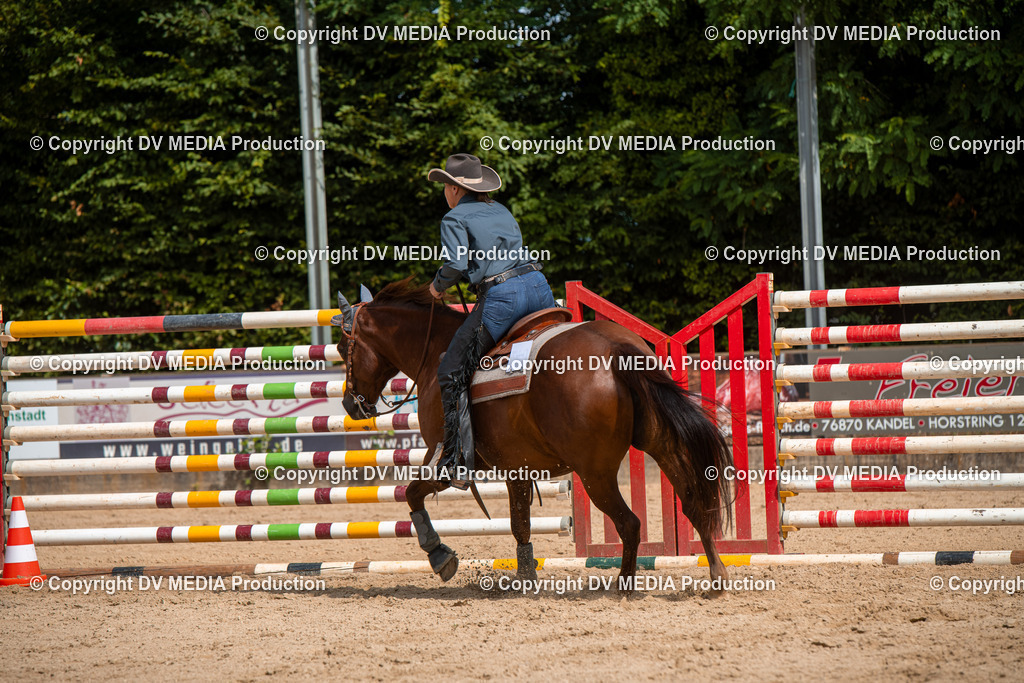 EWP_5970 | dv-media-shop - Realisiert mit Pictrs.com