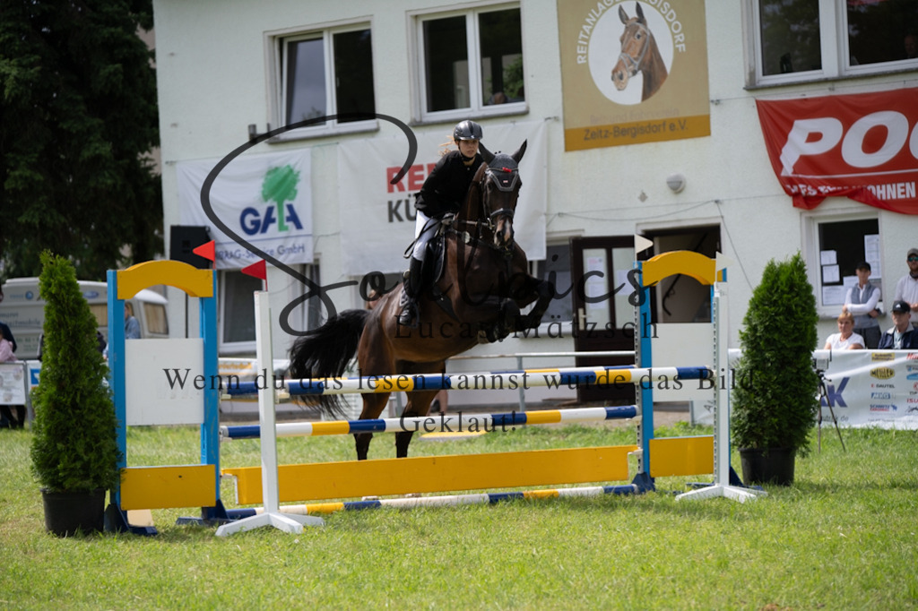 A7V04155 | Pferdefotograf