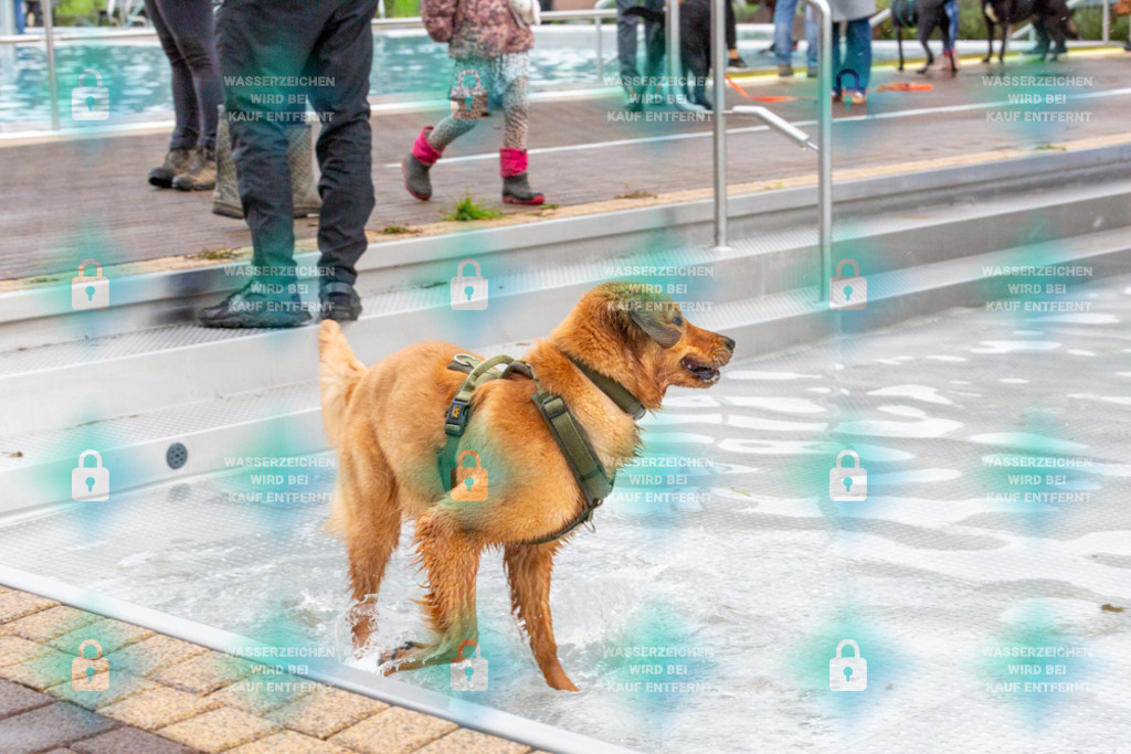 _HP_7460_1000o | HetPix, HetPix Fotodesign, Fotografie, Fotodesign, Webshop, Sportfotografie, Portraitfotografie, Onlineshop, Sportfotografie, Polch, Motorsportfotografie, Eventfotografie