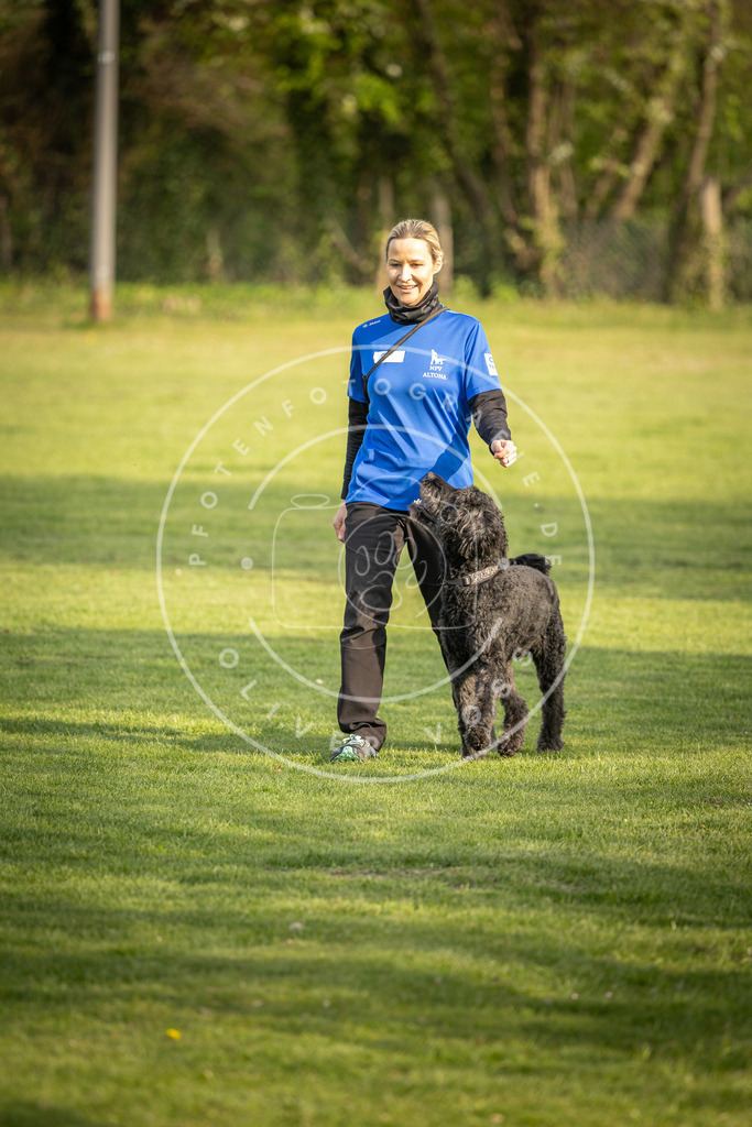 Pfotenfotografie_DV3A4793 | Hundefotografie, Tierfotograf, Pfotenfotografie, Fotoshooting Hund, Hunde Portrait, Hundesport, Hundeportraits, Heideshooting, Hunde, Sportfotograf, Hundefotograf, Turnierhundsport, THS,  - Realisiert mit Pictrs.com