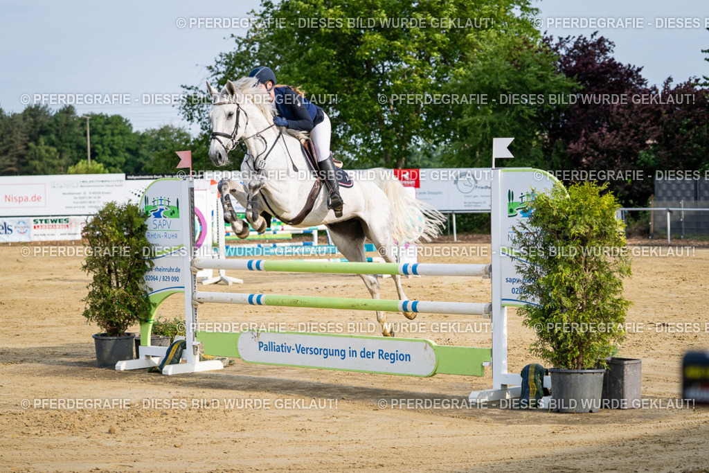 DSC02651 | Pferdegrafie