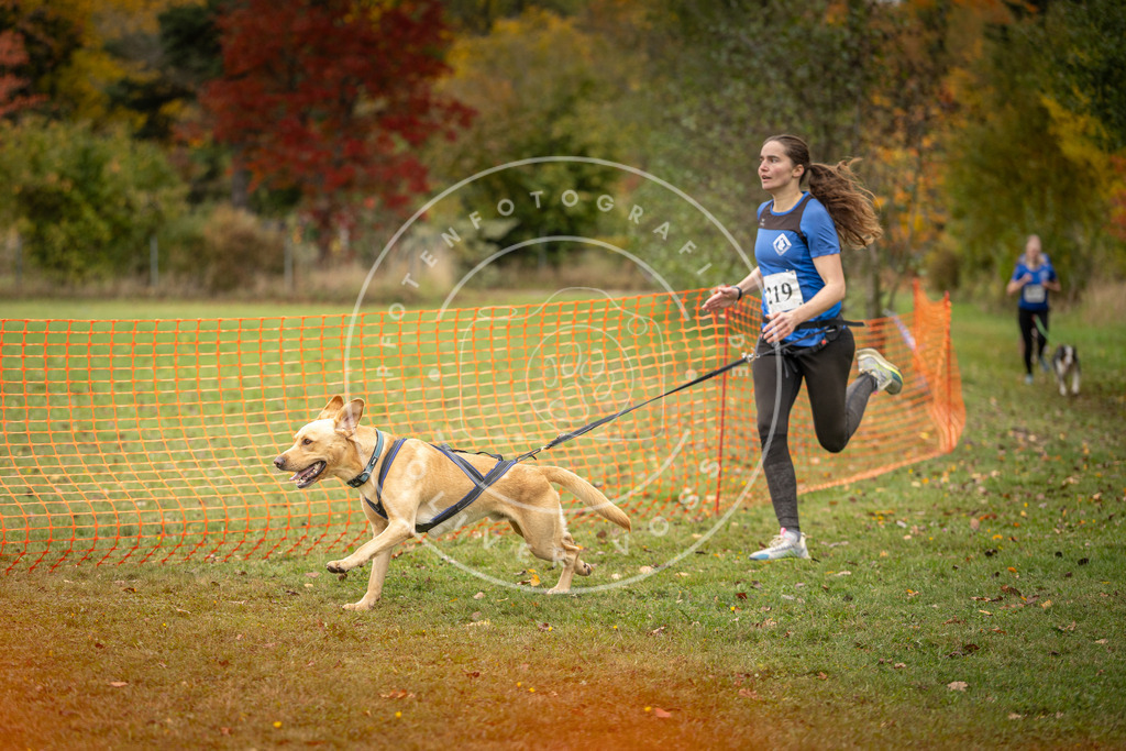Pfotenfotografie_DV3A4662 | Hundefotografie, Tierfotograf, Pfotenfotografie, Fotoshooting Hund, Hunde Portrait, Hundesport, Hundeportraits, Heideshooting, Hunde, Sportfotograf, Hundefotograf, Turnierhundsport, THS,  - Realisiert mit Pictrs.com
