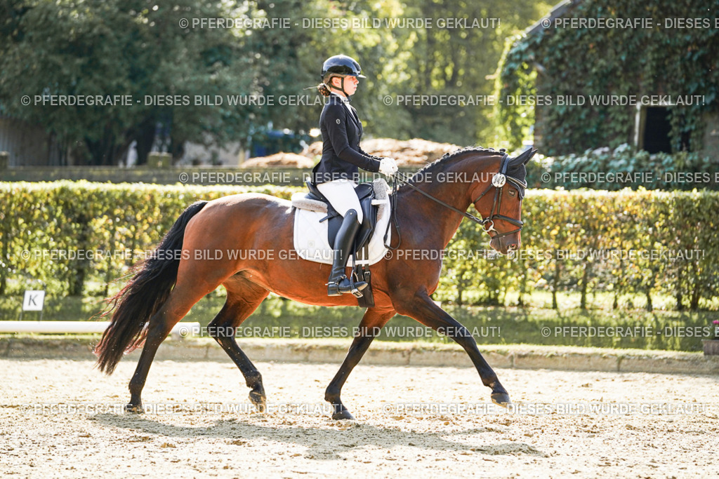 DSC07299 | Pferdegrafie