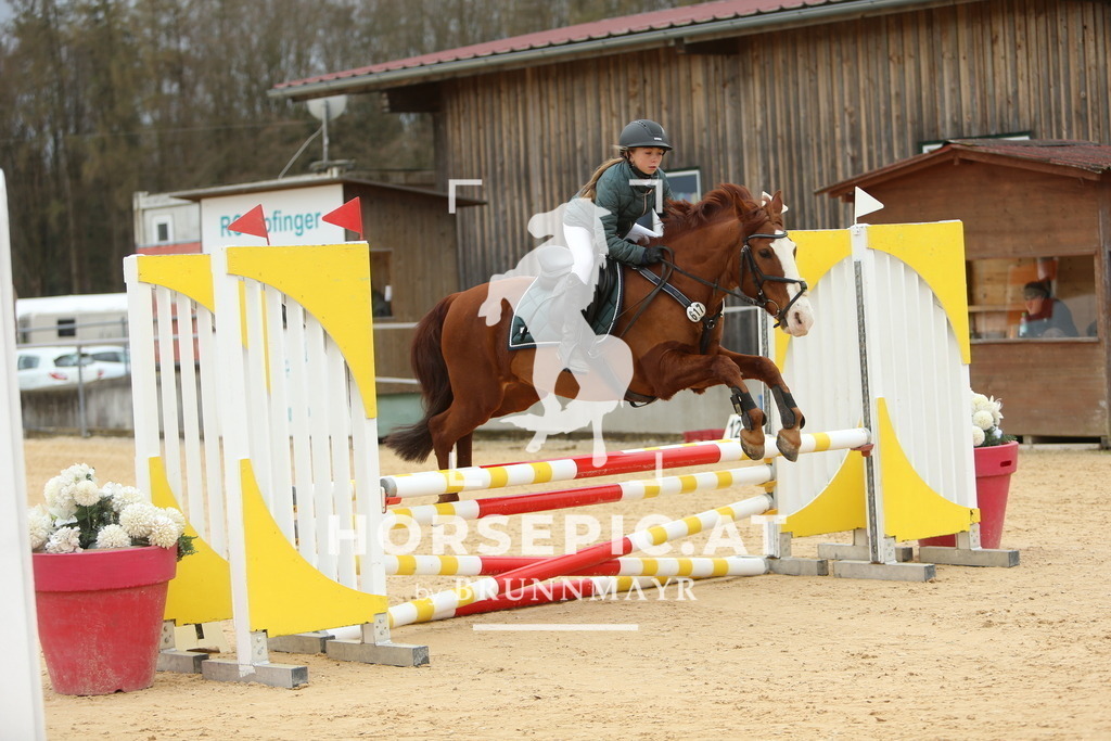 DL2Q1555 | Willkommen bei Brunnmayr - Design & Fotografie – Ihrem Spezialisten für Reitturniere und Pferdeveranstaltungen in Oberösterreich, Salzburg und Bayern! Seit über 17 Jahren sind wir leidenschaftlich dabei.