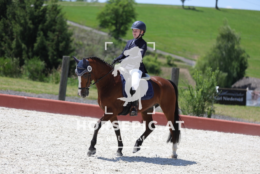 0P6A6327 | Willkommen bei Brunnmayr - Design & Fotografie – Ihrem Spezialisten für Reitturniere und Pferdeveranstaltungen in Oberösterreich, Salzburg und Bayern! Seit über 17 Jahren sind wir leidenschaftlich dabei.