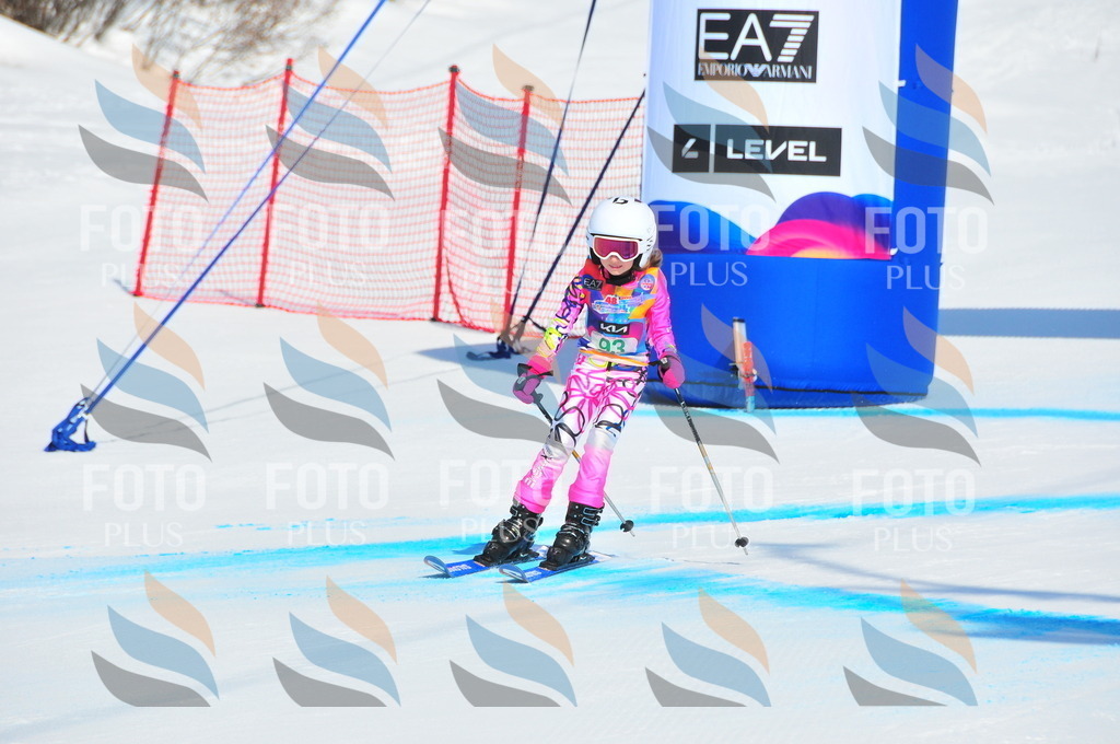 DSC_0614 | holidayphoto