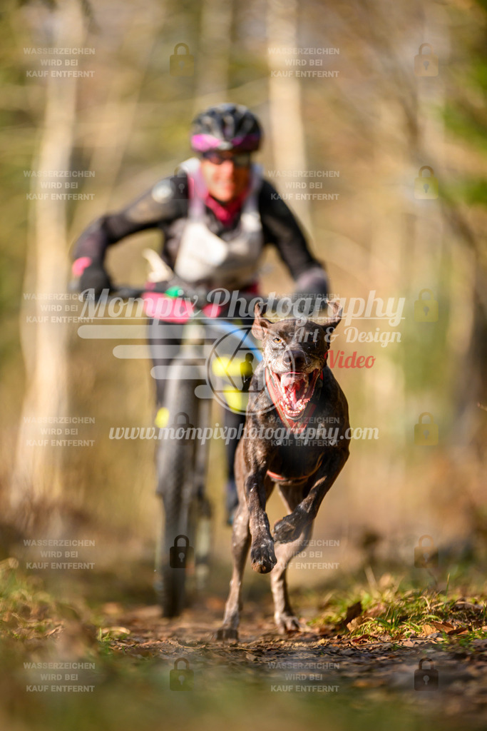 MompixPhotography_6ReiatRennen2026_SO_Bike-37 | PayLife