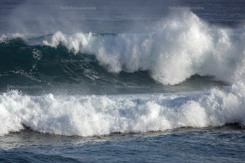 Wild Waves | Wild Waves Atlantic