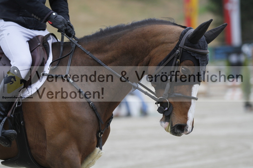 _MG_8875 | equestrian-live-com