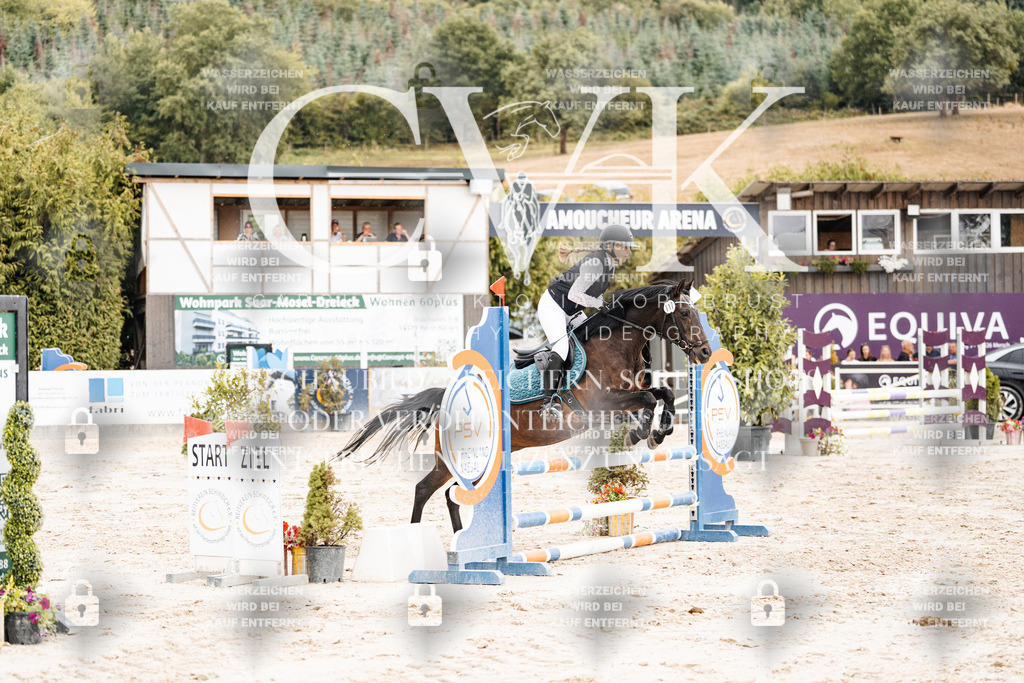 CK908785 | Turnierfotografie Pferdefotografie Trier Rheinland-Pfalz Pferdesport Reitsport Tierfotografie Sportfotografie Pferdevideo Pferdevideografie Equestrianvideography equestrianphotography  - Realisiert mit Pictrs.com