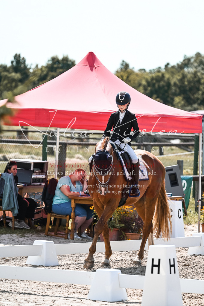 DSC_5095 | Pferde- und Turnierfotografie in Westsachsen. Pferdeportraits, Auftragszeichnungen und intuitive Kunst.