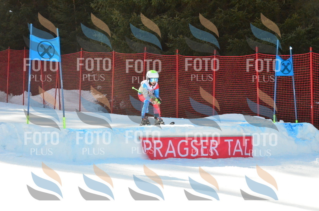 C7356 | holidayphoto