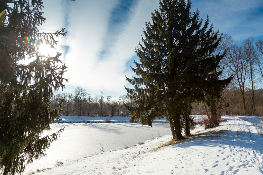 _ 3382_WINTER26_8276 | WInteraufnahmen Loosdorf 2026