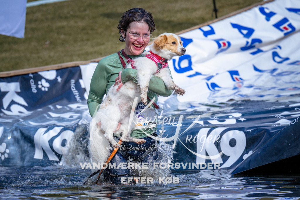 _ZZ995340834 | kk-dogfotos