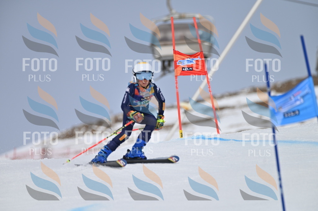 BGV_3725 | holidayphoto