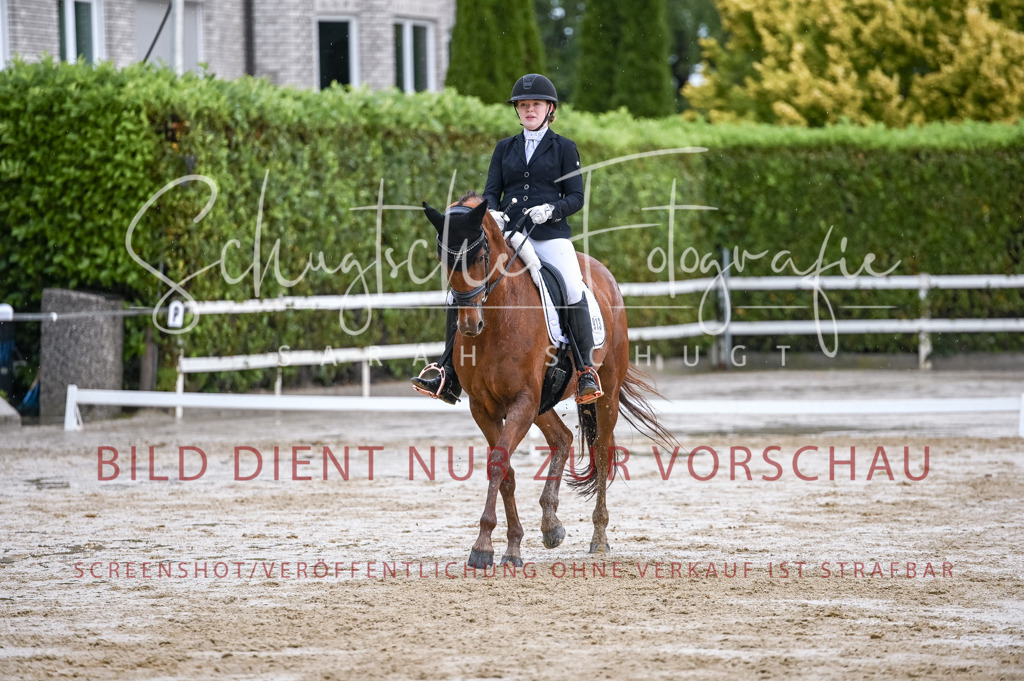 Schugtsche-Aluta25-55.Dressurreiterprf.L1Tr-242 | Schugtsche Fotografie - Realisiert mit Pictrs.com