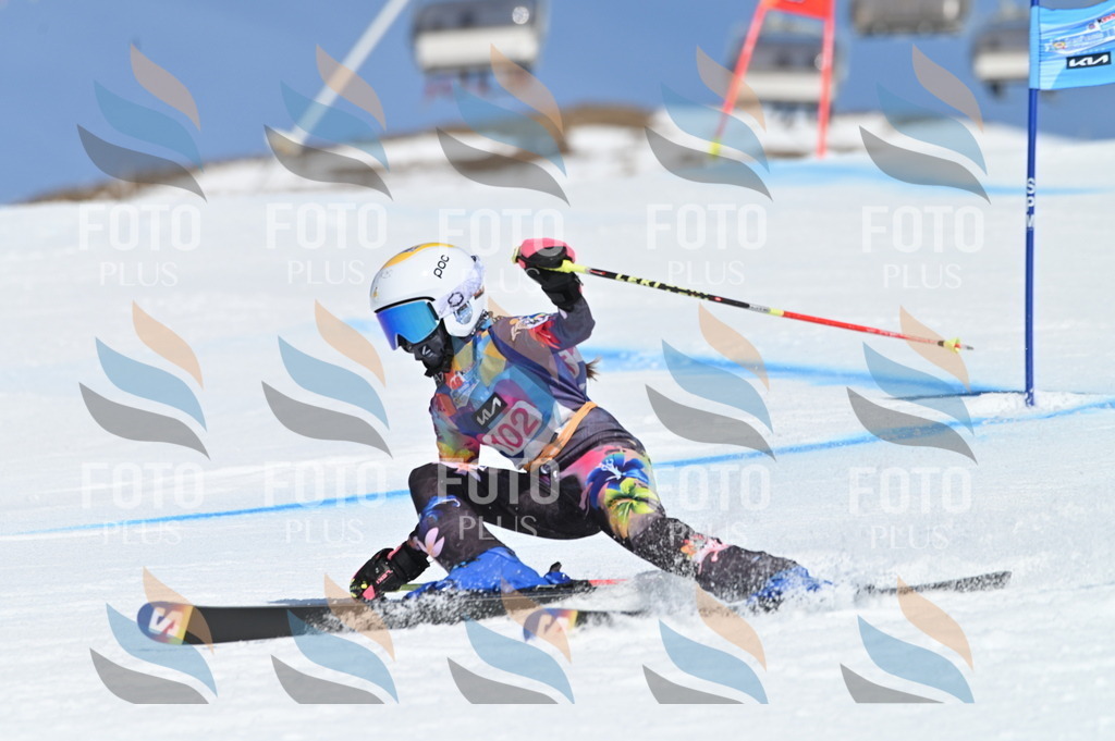 BGV_9500 | holidayphoto