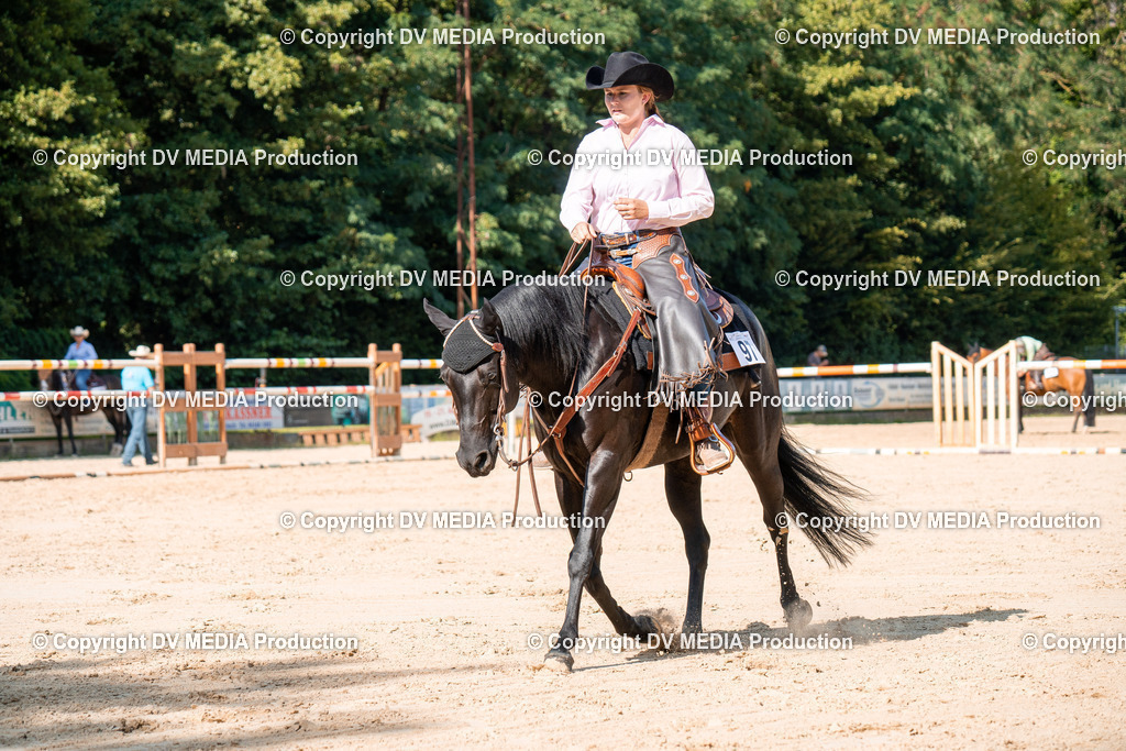 ZH100727 | dv-media-shop - Realisiert mit Pictrs.com