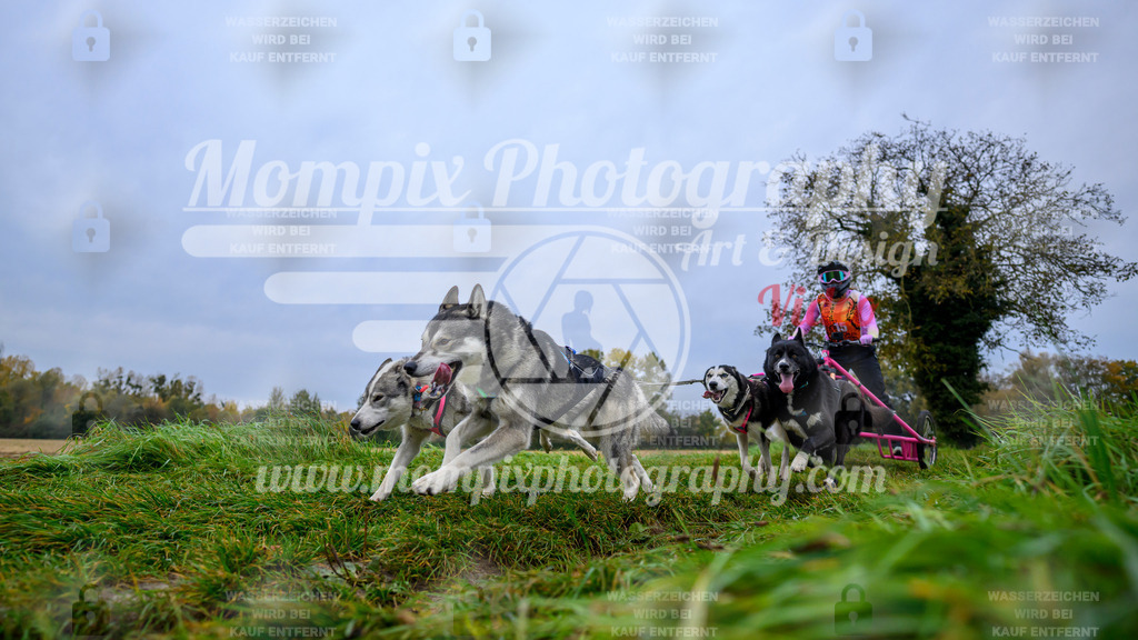 MompixPhotography_CDLBDB2025_DI_Kart-26 | PayLife