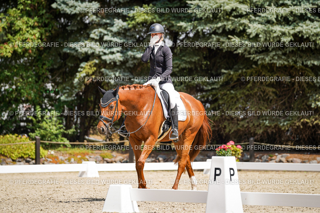 DSC00938 | Pferdegrafie