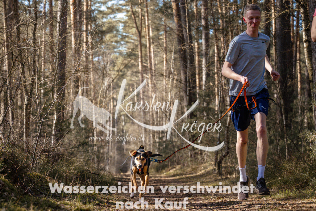 1411_ZZ94821 | kk-dogfotos