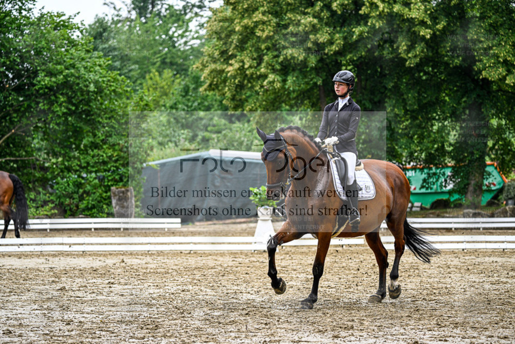 Bissendorfer Reitertage | Entdecke hochwertige Reitturnierfotos von Foto Oger. Professionell, emotional und authentisch – jetzt Lieblingsmomente im Shop bestellen. - Realisiert mit Pictrs.com