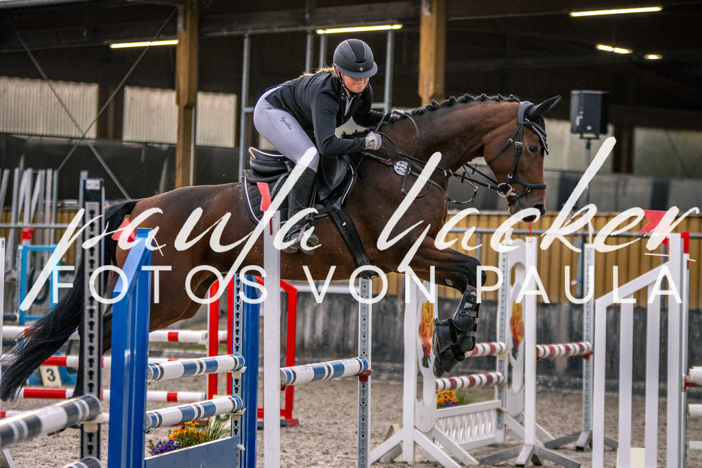 IMG_4839 | Erleben Sie dynamische Sport- und emotionale Tierfotografie in Süddeutschland mit Fotos von Paula. Spezialisiert auf Pferde- und Hundefotografie sowie Sportevents. Kontaktieren Sie mich für einzigartige und ausdrucksstarke Bilder Ihrer besonderen Momente. - Realisiert mit Pictrs.com