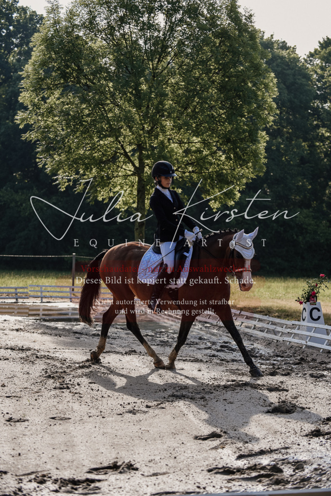 DSC_7785 | Pferde- und Turnierfotografie in Westsachsen. Pferdeportraits, Auftragszeichnungen und intuitive Kunst.