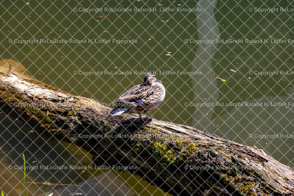 Im-Donautal-01 | IPTC Infos - Realisiert mit Pictrs.com