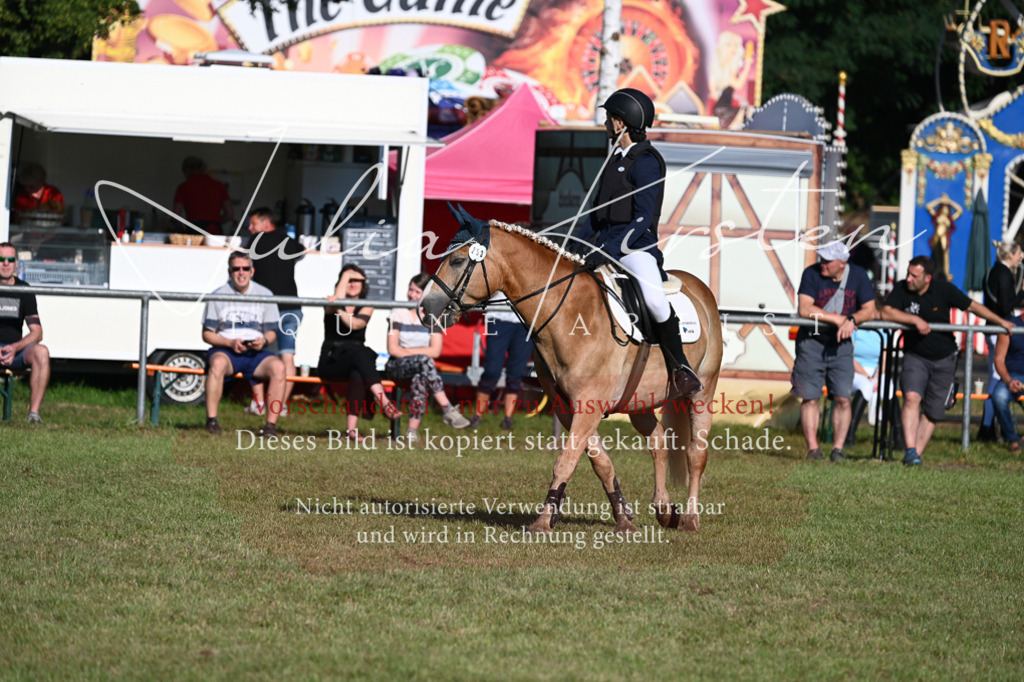 DSC_4823 | Pferde- und Turnierfotografie in Westsachsen. Pferdeportraits, Auftragszeichnungen und intuitive Kunst.